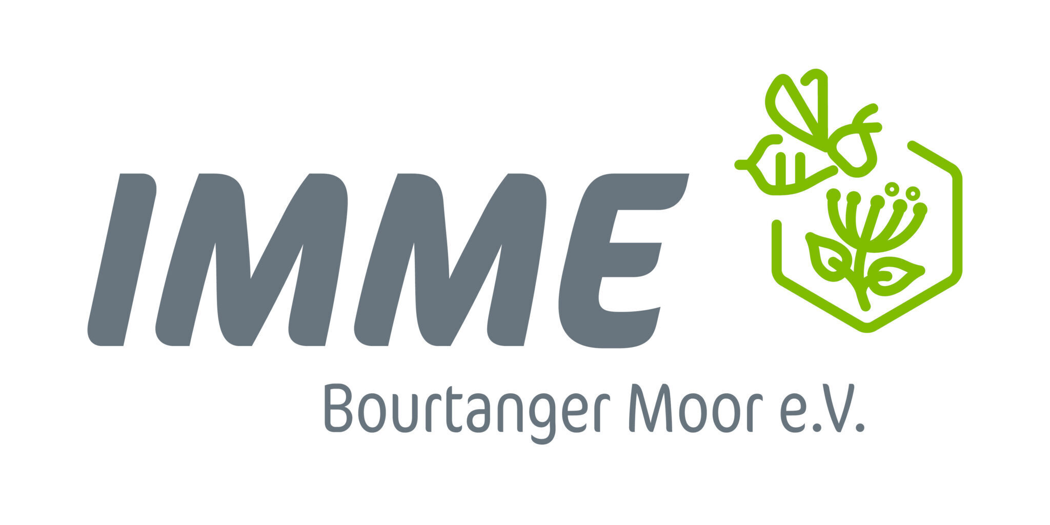 logo imme.jpg